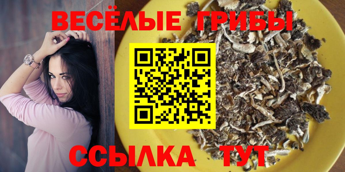 Сухой Лог  Псилоцибиновые грибы Cubensis  закладки  Вход с VPN 